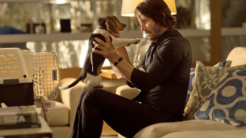 John Wick (2014)