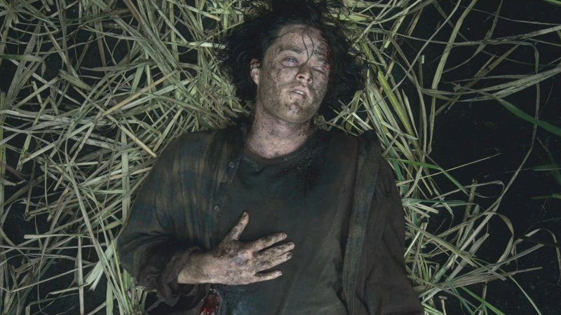 In The Tall Grass (2019)