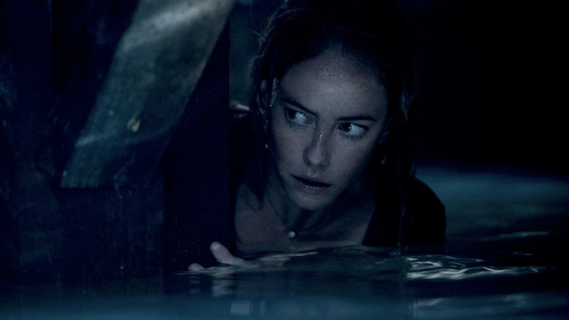 Crawl (2019)